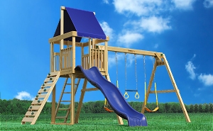 Observer Deluxe Swing Set