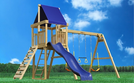 Observer Deluxe Swing Set