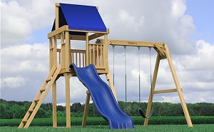 Observer Starter Swing Set